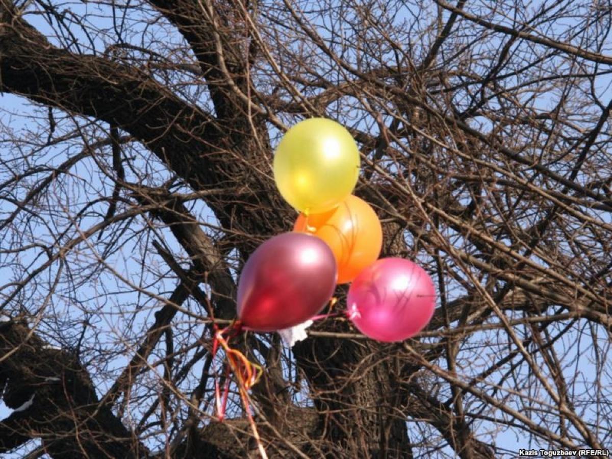 Шары запускать воздух. Шары на деревьях. Воздушные шарики на деревьях. Дерево с шариками. Воздушный шар дерево.
